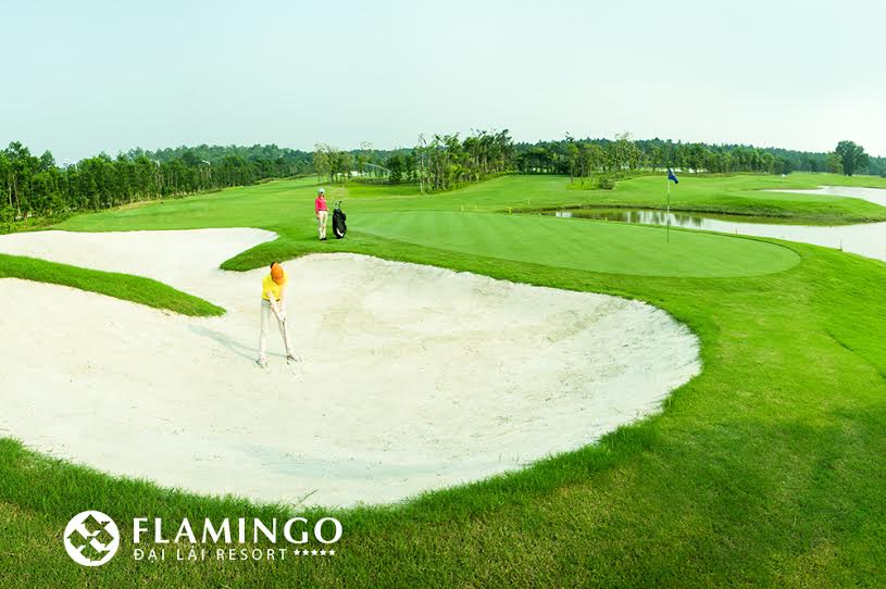 Sân gôn Flamingo Đại Lải Golf Course – Địa chỉ, số điện thoại đặt sân, combo golf