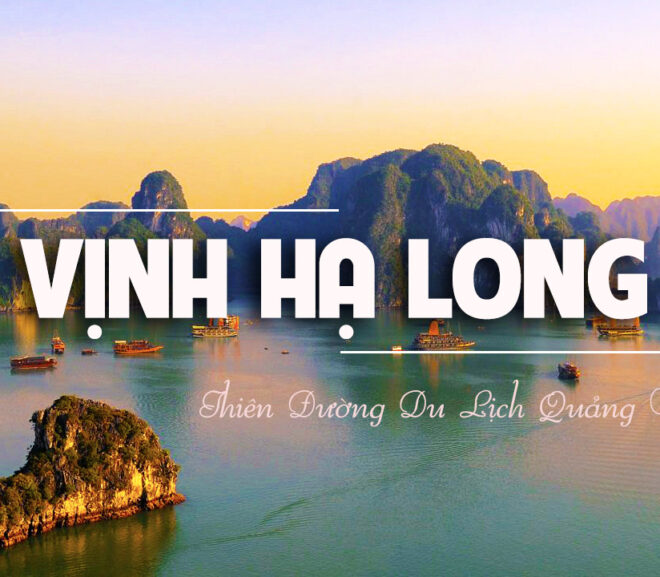 Review các resort ở Hạ Long, Quảng Ninh 4- 5 sao mới tốt đẹp nhất- vị trí, dịch vụ, giá phòng